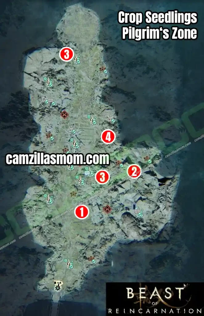 › camzillasmom.com