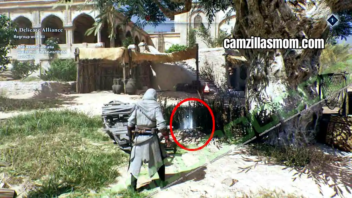 5-enigma-a-holy-hoard-harbiyah-collectibles-assassins-creed-mirage A Holy Hoard Enigma treasure under the big tree at the Nestorian Monastery in Assassins Creed Mirage › camzillasmom.com