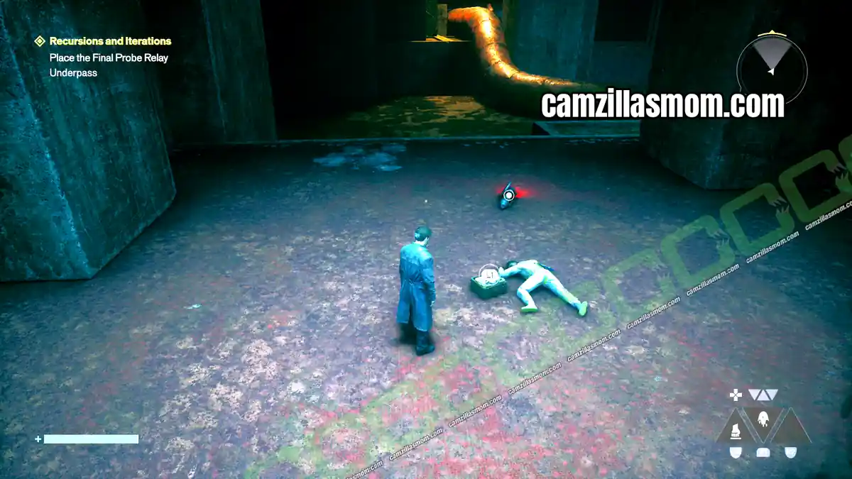 › camzillasmom.com