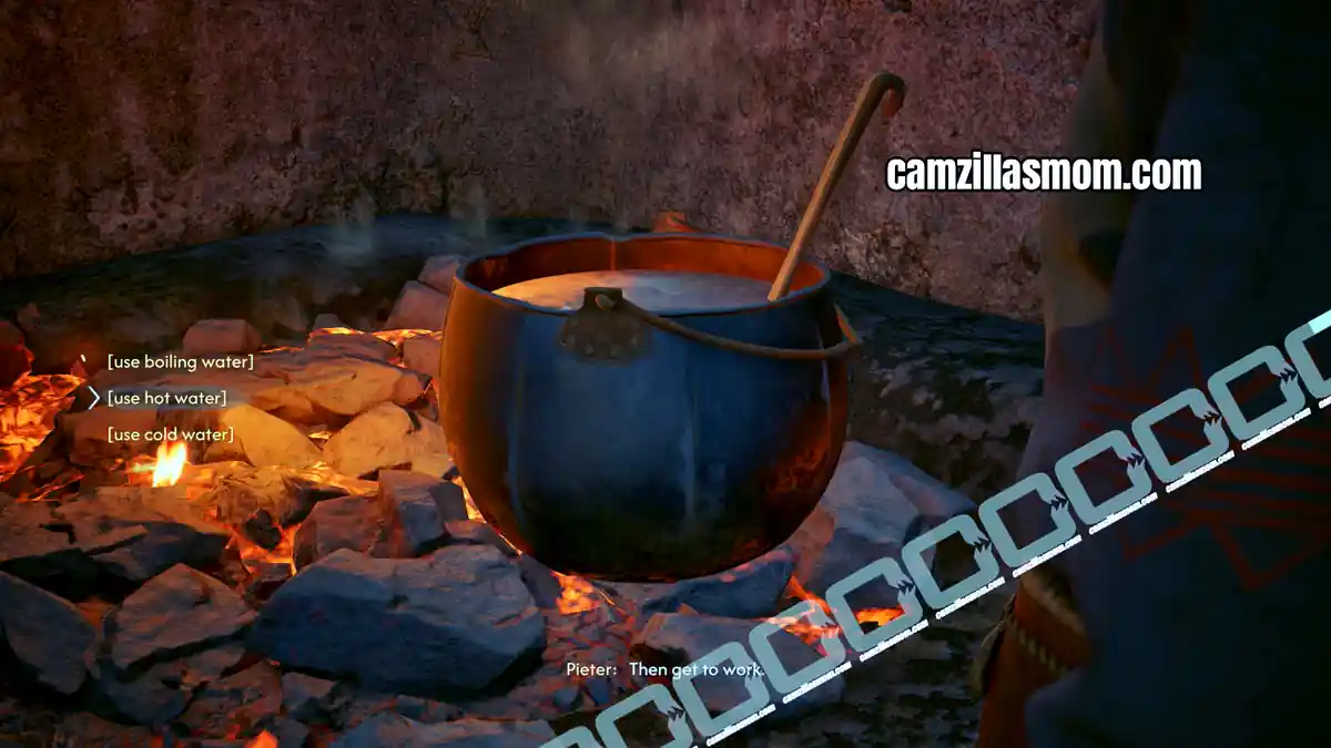 › camzillasmom.com