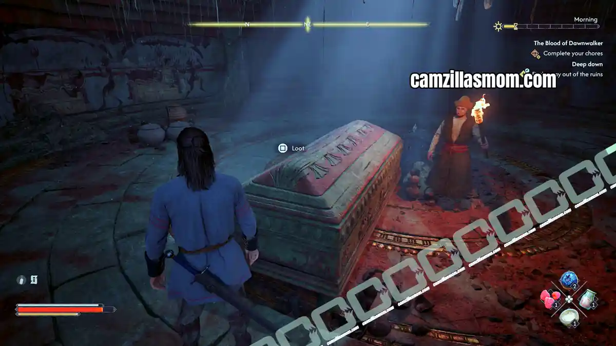 › camzillasmom.com