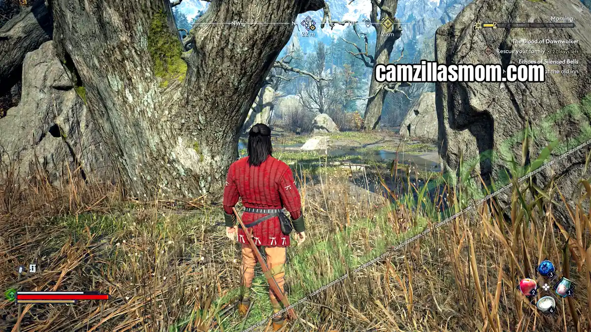 › camzillasmom.com