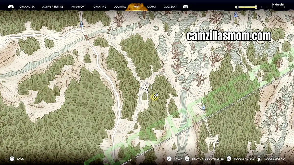 reach-the-rendezvous-point-map-shadows-in-the-woods-the-blood-of-dawnwalker › camzillasmom.com
