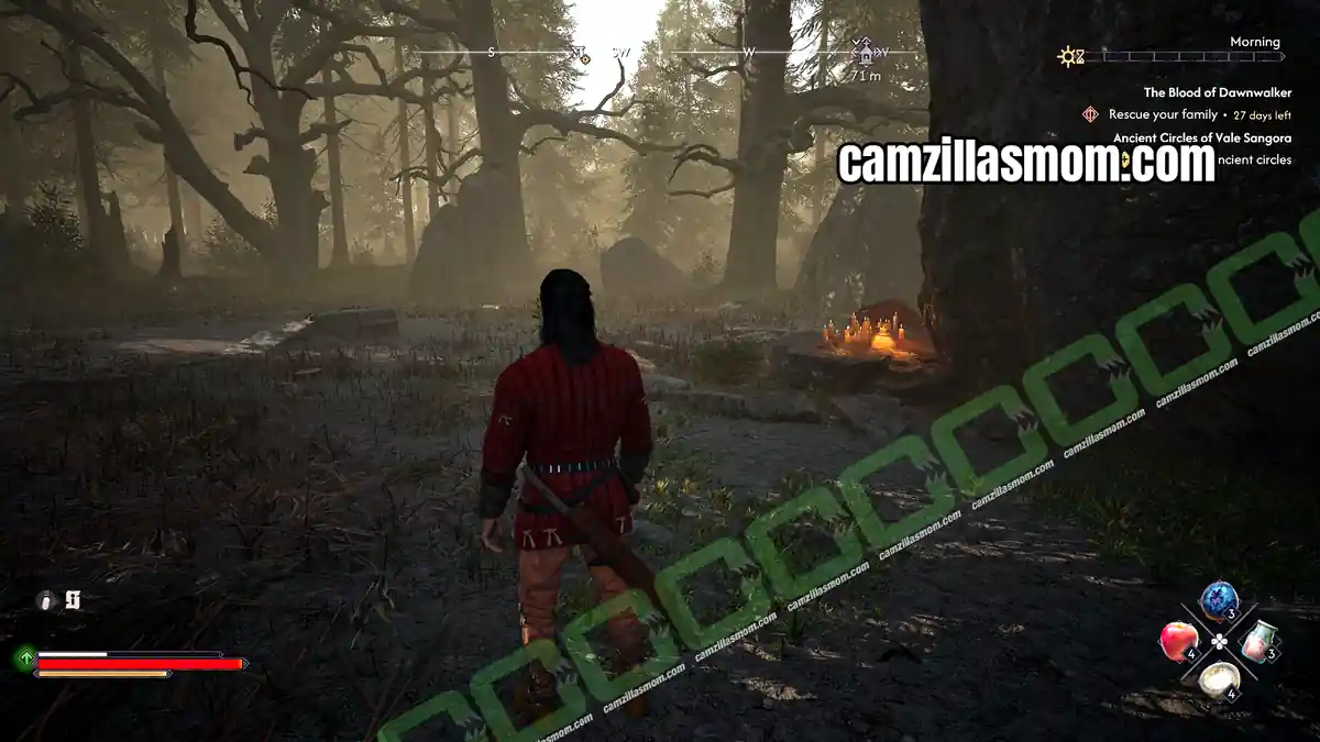 › camzillasmom.com