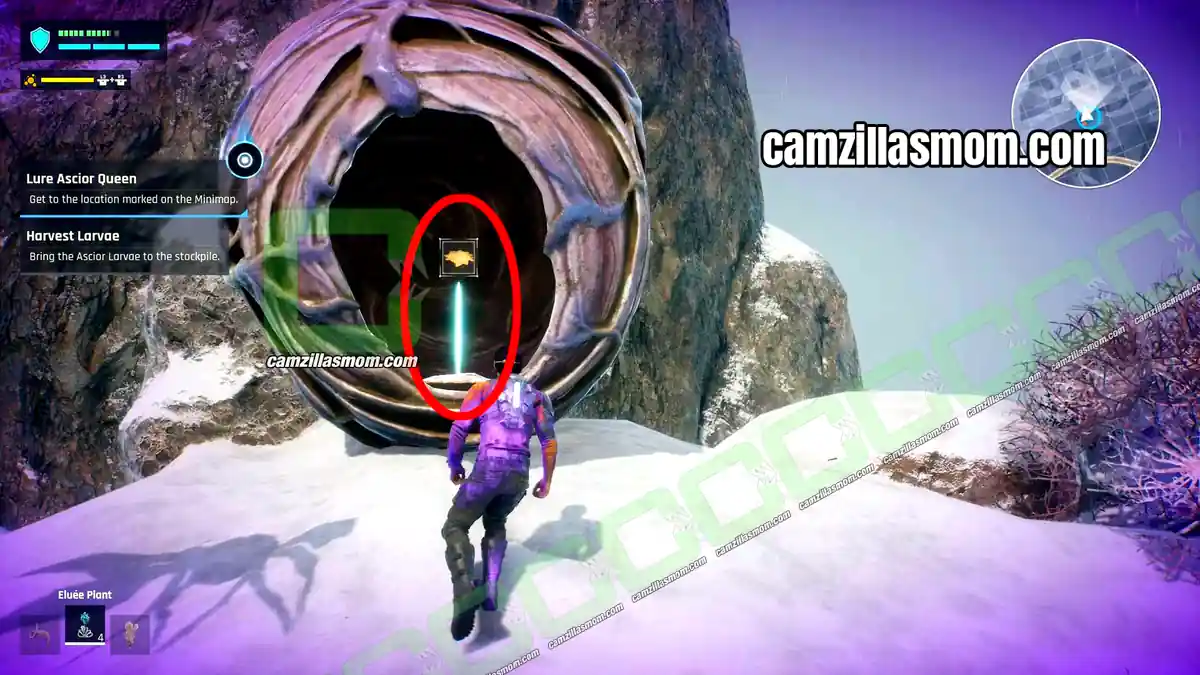 2-ascior-queens-reearch-that-sting-outcast-a-new-beginning Ascior Jelly inside the Ascior Queen nest on top of the hive in Research that Sting in Outcast A New Beginning › camzillasmom.com