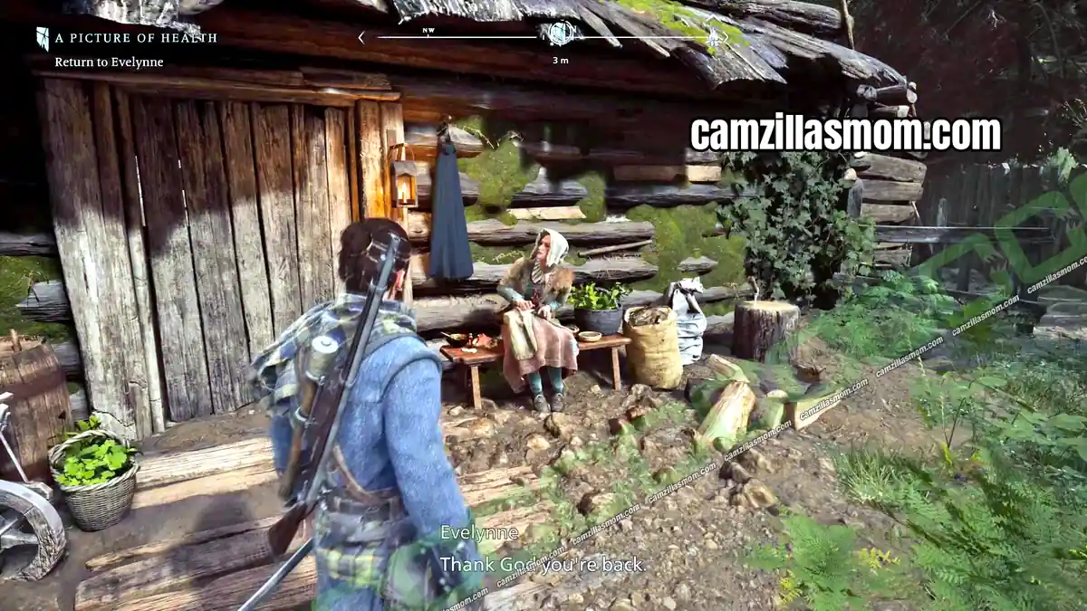 › camzillasmom.com