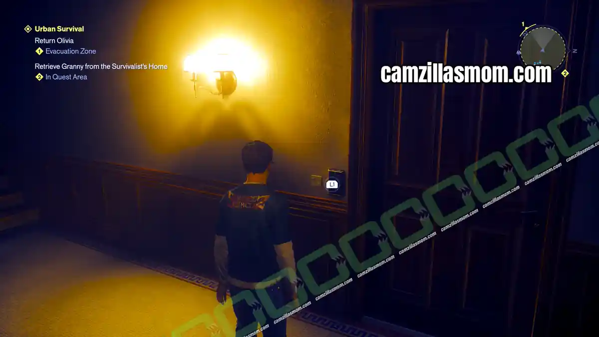 apartment-door-urban-survival-control-resonant › camzillasmom.com