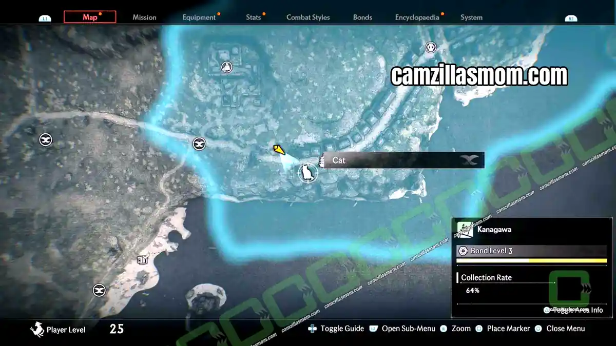 cat-1-map-kanagawa-region-rise-of-the-ronin › camzillasmom.com