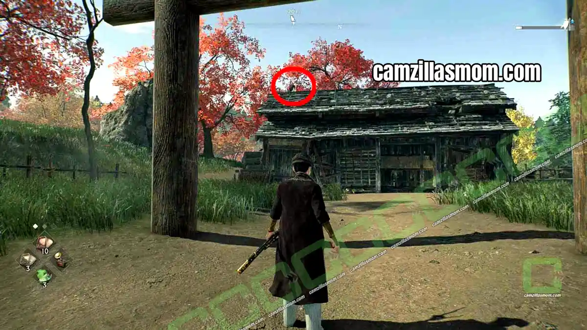 on-top-of-a-roof-2-hodogaya-region-rise-of-the-ronin Black and white cat on the roof of the chicken house north of the Center Village in Hodogaya in Rise of the Ronin › camzillasmom.com