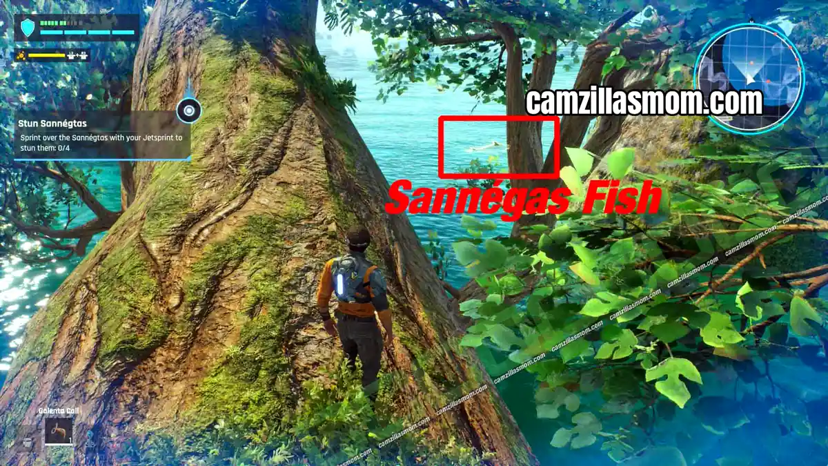 › camzillasmom.com